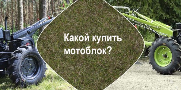 Какой купить мотоблок?